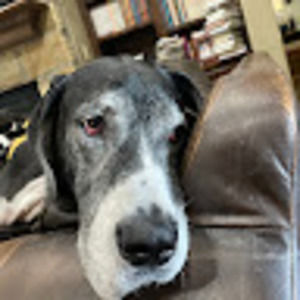 Meet your Posher, Connie